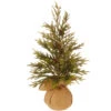 18" Potted Glitter Pine Full Artificial Christmas Tree - Unlit 1 18" Potted Glitter Pine Full Artificial Christmas Tree - Unlit -Christmas Decoration Store 21hv27yhppkbvy1vbhu7vl52zxxlawhj 90220.1588397435