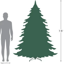 Northlight 7.5' Pre-Lit Full Winema Pine Flocked Artificial Christmas Tree - Clear Lights -Christmas Decoration Store 7.527 50351.1684933384
