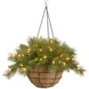 Christmas Central 20" Pre-Lit Battery-Operated Tiffany Fir Artificial Christmas Hanging Basket - Warm White LED Lights 1 Christmas Central 20" Pre-Lit Battery-Operated Tiffany Fir Artificial Christmas Hanging Basket - Warm White LED Lights -Christmas Decoration Store afpckpgj646noerpuognt9hlp2yjbtbn 89668.1588406500