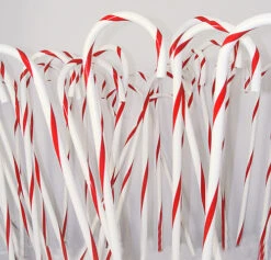 Northlight Club Pack Of 24 Red And White Striped Candy Cane Christmas Decorations 32" - 32915514 -Christmas Decoration Store bi8nmyd69mfaduwcjemkryaopyr6uu8t 73349.1587644290