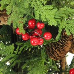 5' Slim Mixed Cedar Pine Entryway Artificial Christmas Tree - Unlit -Christmas Decoration Store cfyznzqotrg1zrz5gl3npctgqlvsivne 86689.1588397242