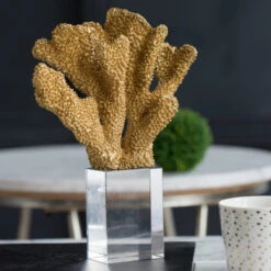 11.25" Gold Contemporary Style Coral Accent On Clear Base -Christmas Decoration Store dabhg 76517 3 88752.1588357363
