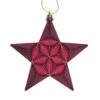 12ct Matte Burgundy Glittered Star Shatterproof Christmas Ornaments 5" -Christmas Decoration Store dak cop10310 12bgd 1 85409.1608349967
