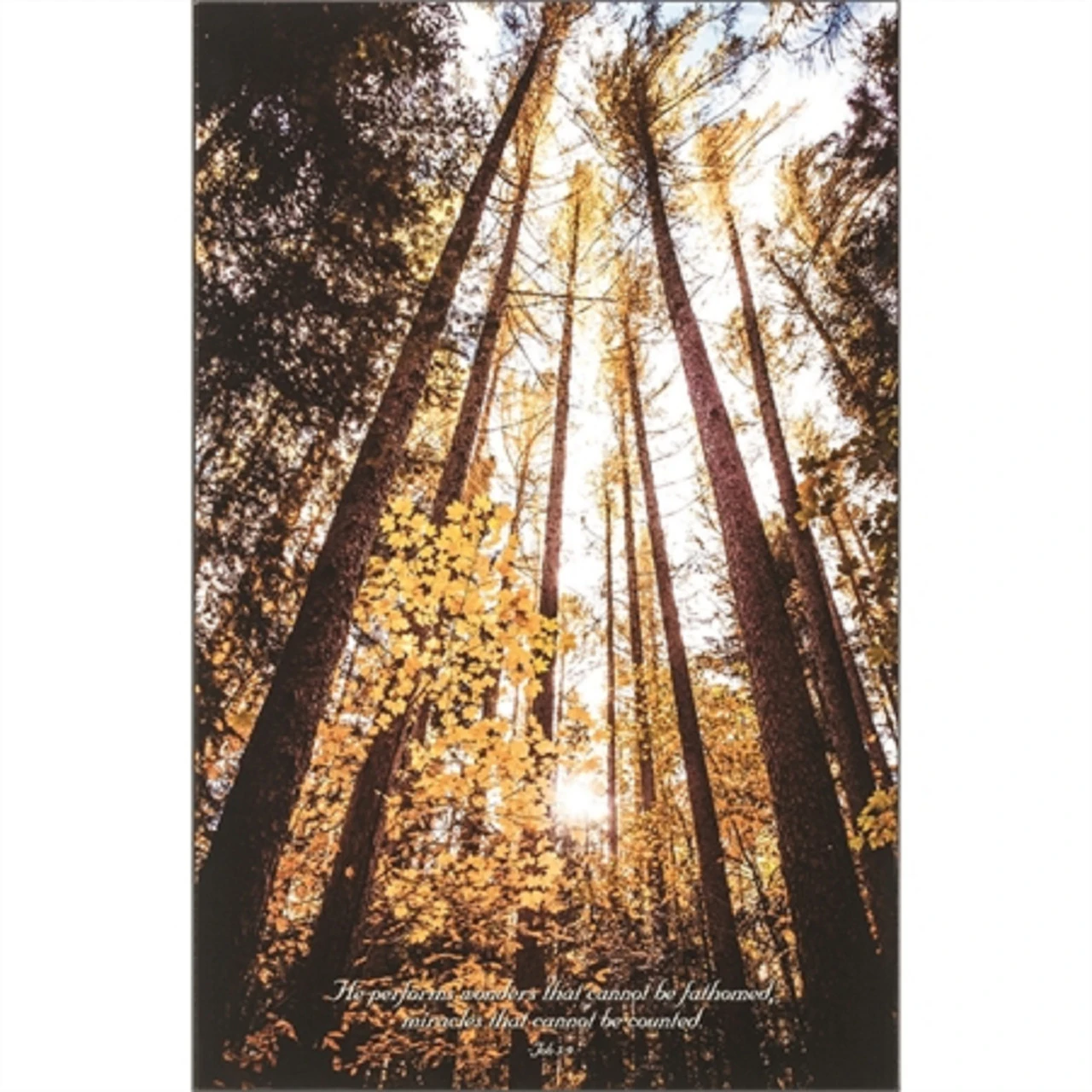 19.75" Brown And Yellow Contemporary Bible Verse Printed Rectangular Wall Plaque 3 19.75" Brown And Yellow Contemporary Bible Verse Printed Rectangular Wall Plaque