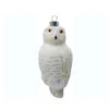 4.5" White Snowy Owl Hand Blown Glass Hanging Figurine Ornament 1 4.5" White Snowy Owl Hand Blown Glass Hanging Figurine Ornament -Christmas Decoration Store dgold cobaned379 63254.1588354463