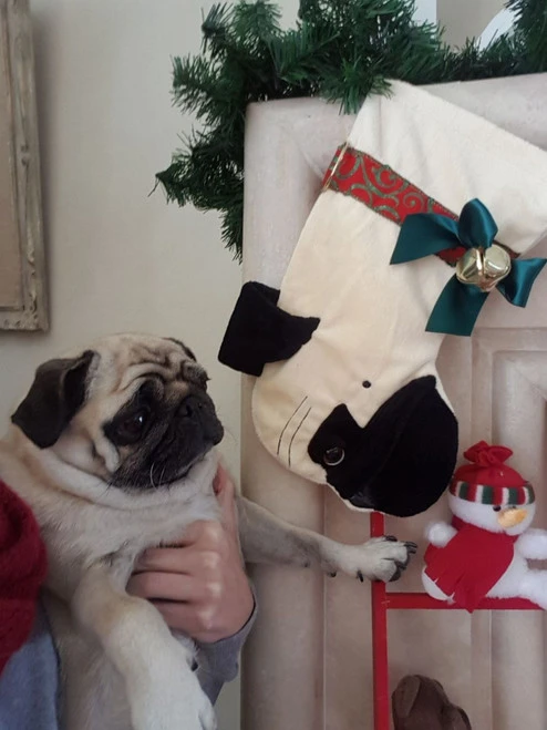 15" Beige And Black Pug Dog Christmas Stocking 4 15" Beige And Black Pug Dog Christmas Stocking - Image 2