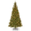 Christmas Central 7' Pre-Lit Aspen Spruce Artificial Christmas Tree, White Lights -Christmas Decoration Store dnat20ap7 300 70 99538.1588344948