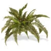26" Unlit Garden Accents Boston Fern Plant Spray - 33367958 2 26" Unlit Garden Accents Boston Fern Plant Spray - 33367958 -Christmas Decoration Store dnat20gabf30 26g 12099.1588357234