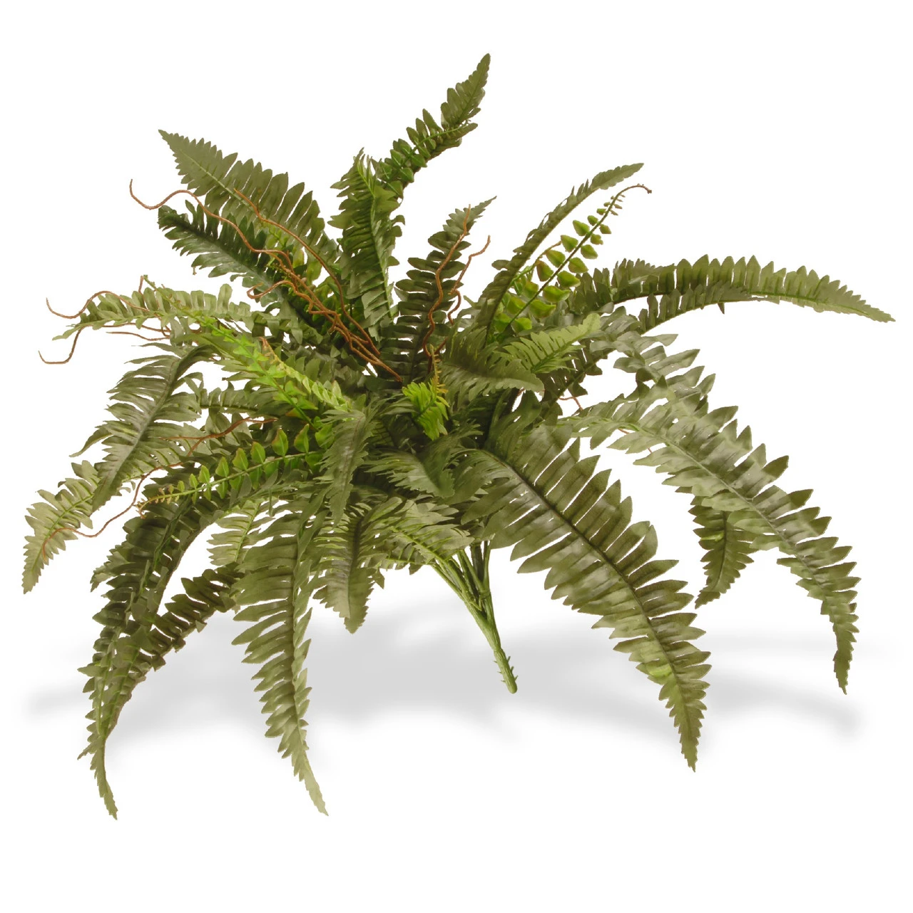 26" Unlit Garden Accents Boston Fern Plant Spray - 33367958 3 26" Unlit Garden Accents Boston Fern Plant Spray - 33367958