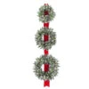 77" Pre-Lit Glittery Bristle Pine Triple Wreath Door Hang - LED Lights Battery Operated 2 77" Pre-Lit Glittery Bristle Pine Triple Wreath Door Hang - LED Lights Battery Operated -Christmas Decoration Store dnat20gb1 300lt 18w b 03803.1588344644