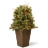 36” Pre-lit Glistening Pine Porch Bush With Clear Lights 1 36” Pre-lit Glistening Pine Porch Bush With Clear Lights -Christmas Decoration Store dnat20gn19 36tlo 53585.1588348970