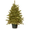 Christmas Central 3' Pre-lit Potted Hampton Spruce Artificial Christmas Tree, Clear Lights -Christmas Decoration Store dnat20peha3 306 30 30927.1588370639