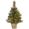 Christmas Central 2' Pre-lit Potted Vibrantly Colored Crestwood Spruce Artificial Christmas Tree – Clear Lights -Christmas Decoration Store dnat cw7 306 20 43134.1664379666