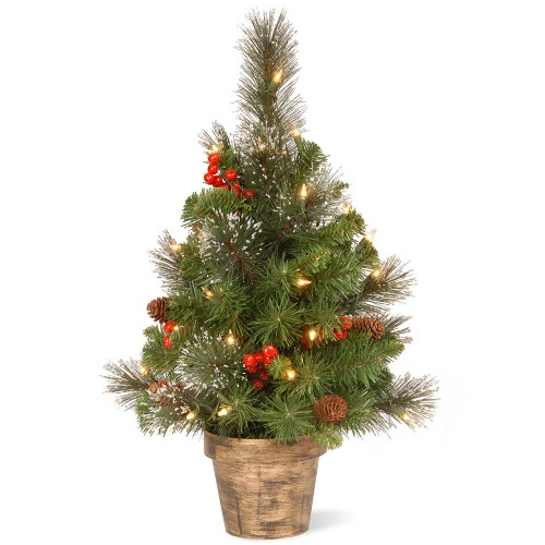Christmas Central 2' Pre-lit Potted Vibrantly Colored Crestwood Spruce Artificial Christmas Tree – Clear Lights 3 Christmas Central 2' Pre-lit Potted Vibrantly Colored Crestwood Spruce Artificial Christmas Tree – Clear Lights