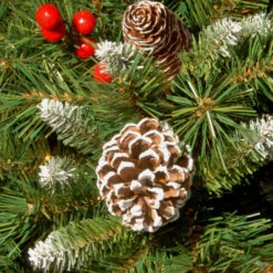 Christmas Central Frosted Pinecones And Berry Artificial Christmas Wreath, 24-Inch, Unlit -Christmas Decoration Store dnat frb 24w 1 3 35177.1631812959