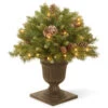 Christmas Central 2' Pre-lit Frosted Berry Porch Artificial Christmas Tree, Clear Lights -Christmas Decoration Store dnat frb3 24plo 1 68412.1644108677