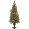 Christmas Central 4’ Pre-Lit Glittery Bristle Entrance Artificial Christmas Tree, Warm White LED Lights -Christmas Decoration Store dnat gb3 326 40 1 09231.1664294124