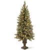 Christmas Central 5’ Pre-Lit Potted Glittery Bristle Pine Artificial Christmas Tree, White LED Lights -Christmas Decoration Store dnat gb3 326 50 1 55055.1631812950