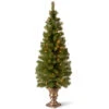 Christmas Central 5’ Pre-Lit Potted Montclair Spruce Christmas Tree, Clear Lights -Christmas Decoration Store dnat mc7 308 50 01 21192.1664724868