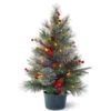 Christmas Central 2' Pre-lit Potted Colonial Fir Medium Artificial Christmas Tree, White LED Lights 2 Christmas Central 2' Pre-lit Potted Colonial Fir Medium Artificial Christmas Tree, White LED Lights -Christmas Decoration Store dnat peco1 300 20 b1 1 64362.1670489791