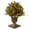 Christmas Central 2' Pre-lit Potted Colonial Porch Bush Artificial Christmas Tree, Clear Lights -Christmas Decoration Store dnat peco1 300 24p 1 08078.1631812352