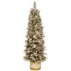 Christmas Central 6' Pre-Lit Slim Frosted Colonial Artificial Half Wall Christmas Tree, Clear Lights 2 Christmas Central 6' Pre-Lit Slim Frosted Colonial Artificial Half Wall Christmas Tree, Clear Lights -Christmas Decoration Store dnat peco8 362 6h 1 30086.1587645164