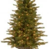 Christmas Central 4' Pre-lit Potted Nordic Spruce Entrance Artificial Christmas Tree, Clear Lights 1 Christmas Central 4' Pre-lit Potted Nordic Spruce Entrance Artificial Christmas Tree, Clear Lights -Christmas Decoration Store dnat pens1 306 40 82556.1664380272