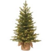 Christmas Central 3' Pre-Lit Potted Nordic Spruce Medium Artificial Christmas Tree, Clear Lights -Christmas Decoration Store dnat pens1 333 30 1 1 68660.1670489795