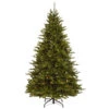 Christmas Central 7.5’ Pre-Lit Neshanic Valley Spruce Artificial Christmas Tree, Multicolor LED Lights -Christmas Decoration Store dnat penv3 d00 75 1 98181.1587645159