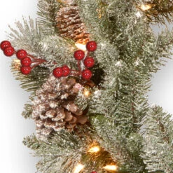 Christmas Central Pre-Lit Snowy Bristle Berry Artificial Christmas Wreath, 24-Inch, White LED Lights 7 Christmas Central Pre-Lit Snowy Bristle Berry Artificial Christmas Wreath, 24-Inch, White LED Lights -Christmas Decoration Store dnat pesb3 300 24wbr 3 65508.1665347957