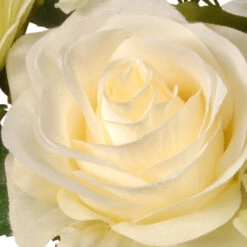 33" Ivory Spring Flowers Artificial Swag -Christmas Decoration Store dnat ras 550502gr 1 3 49390.1631810843