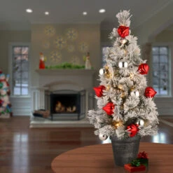 Christmas Central 2' Pre-Lit Potted Snowy Bristle Pine Medium Artificial Tabletop Christmas Tree, White LED Lights -Christmas Decoration Store dnat snp7 308 20 b 1 20303.1665580040