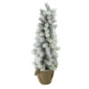 Northlight 2ft Potted Flocked Mini Pine Slim Christmas Tree With Berries - Unlit -Christmas Decoration Store iufjbtciuvh8sdlatpquizke0rqpf1o2 08148.1588357296