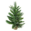 Northlight 2' Potted Mixed Cashmere Pine Medium Artificial Christmas Tree, Unlit 2 Northlight 2' Potted Mixed Cashmere Pine Medium Artificial Christmas Tree, Unlit -Christmas Decoration Store kdishopfktf1gep6vvndqjuwathvudb8 99141.1665433297