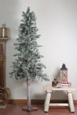7' Unlit Slim Frosted And Glittered Woodland Alpine Artificial Christmas Tree -Christmas Decoration Store m3jdt5navefpamgqla6dyppfcjsuau6o 23308.1588349969