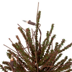 Northlight 2' Pre-Lit Medium Potted Warsaw Twig Artificial Christmas Tree - Clear Lights -Christmas Decoration Store northlight b03909 1 71217.1608088098