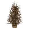 Northlight 2' Pre-Lit Medium Potted Warsaw Twig Artificial Christmas Tree - Clear Lights