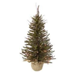Northlight 2.5' Pre-Lit Warsaw Two-Tone Twig Artificial Christmas Tree - Clear Lights
