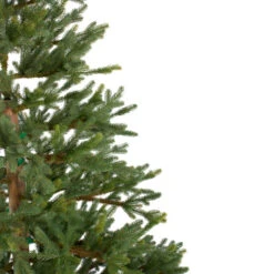 Northlight 6.5' North Pine Artificial Christmas Tree, Unlit 10 Northlight 6.5' North Pine Artificial Christmas Tree, Unlit -Christmas Decoration Store northlight c584780 1 25514.1588371224