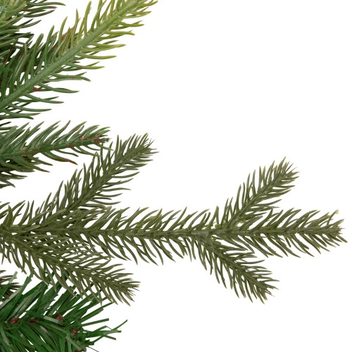 Northlight Pre-Lit LED Gunnison Pine Artificial Christmas Wreath - 24-Inch, Clear Lights 5 Northlight Pre-Lit LED Gunnison Pine Artificial Christmas Wreath - 24-Inch, Clear Lights - Image 3