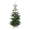 Northlight 9' Layered Nordmann Fir Artificial Christmas Tree - Unlit -Christmas Decoration Store northlight j00083 1 22597.1588397254