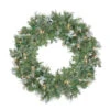 Northlight Pre-Lit Snow Mountain Pine Artificial Christmas Wreath - 30-Inch, Clear Lights
