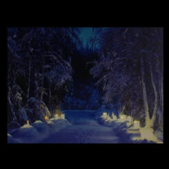 Northlight LED Lighted Nighttime In The Woods Winter Scene Canvas Wall Art 15.75" -Christmas Decoration Store northlight nj82847 2 updated 25213.1665611029