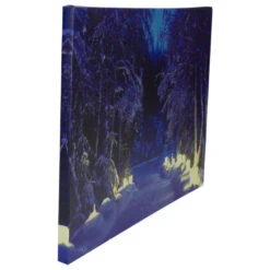 Northlight LED Lighted Nighttime In The Woods Winter Scene Canvas Wall Art 15.75" -Christmas Decoration Store northlight nj82847 4 78620.1665611029