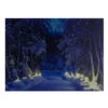 Northlight LED Lighted Nighttime In The Woods Winter Scene Canvas Wall Art 15.75" 2 Northlight LED Lighted Nighttime In The Woods Winter Scene Canvas Wall Art 15.75" -Christmas Decoration Store northlight nj82847 updated 39631.1665611029