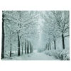 Northlight LED Lighted Fiber Optic Twinkling Snow Covered Tree Scene Canvas Wall Art 15.75" X 11.75" -Christmas Decoration Store northlight nj83099 1 98063.1664901054