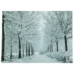 Northlight LED Lighted Fiber Optic Twinkling Snow Covered Tree Scene Canvas Wall Art 15.75" X 11.75"