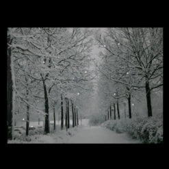 Northlight LED Lighted Fiber Optic Twinkling Snow Covered Tree Scene Canvas Wall Art 15.75" X 11.75" -Christmas Decoration Store northlight nj83099 onblack 21950.1664901054