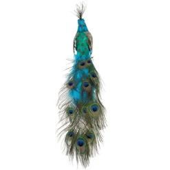 Northlight 23.5" Regal Peacock With Closed Tail Feathers Christmas Decoration -Christmas Decoration Store northlight sh38672 2 42830.1588362579