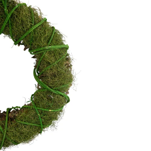 Northlight Moss And Vine Artificial Spring Twig Wreath, 15-Inch, Unlit 6 Northlight Moss And Vine Artificial Spring Twig Wreath, 15-Inch, Unlit - Image 4